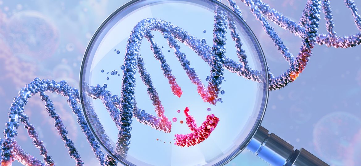 DNA double helix under a magnifying glass, symbolizing genetic engineering and gene manipulation.